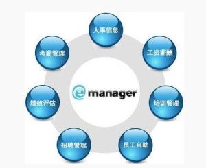 人力資源會計信息披露