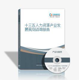 十三五人力資源產(chǎn)業(yè)發(fā)展規(guī)劃咨詢報(bào)告