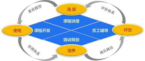 人力資源部門各職位的職責(zé)到底是啥 這11點(diǎn)記下來